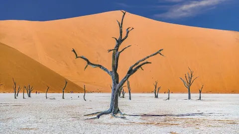 🇳🇦 Namibia: Where the Desert Meets the Ocean 🌅 | A Journey to Another Planet — traveler post in Erongo