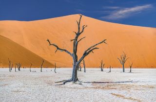 🇳🇦 Namibia: Where the Desert Meets the Ocean 🌅 | A Journey to Another Planet