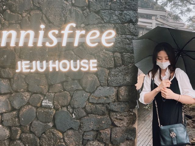 ☔️우기 시즌에 가는 제주도 실내 여행 스팟