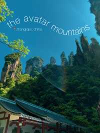 Immerse Yourself in the Avatar Mountains