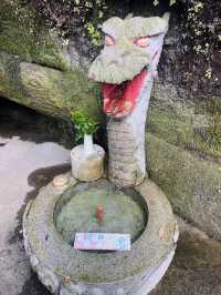 【鎌倉市🇯🇵 銭洗弁財天 宇賀福神社】お金を洗うとお金が増える？！金運・財運にご利益がある神社