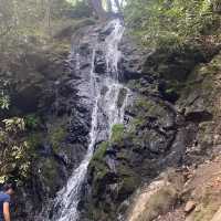 Our Great Smoky Mountains Trip 2020