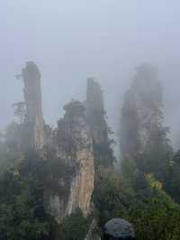Discovering Zhangjiajie National Forest Park ! 🤗