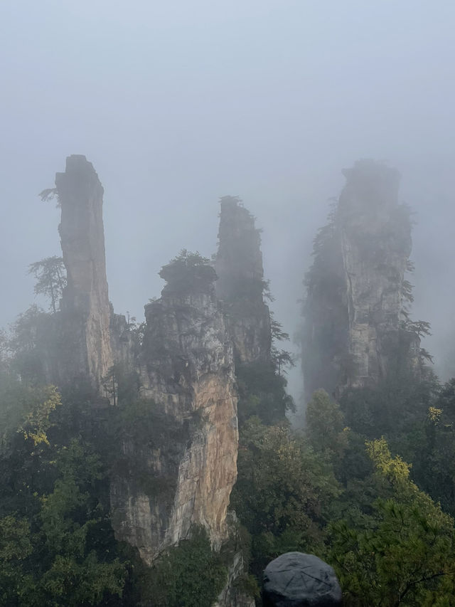 Discovering Zhangjiajie National Forest Park ! 🤗