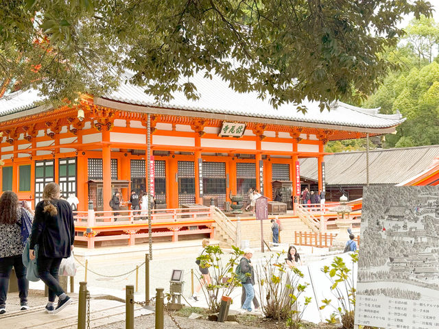 🌸 大阪必訪景點：勝尾寺！🎍