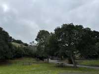加州弗里蒙特市郊狼山區域公園
