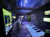 The Shore Oceanarium 