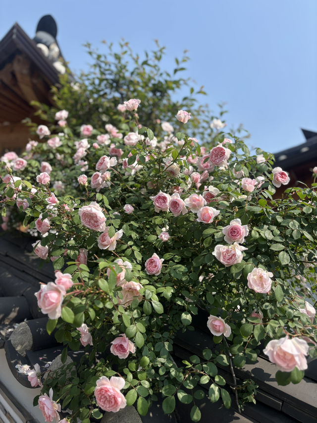 ソウル2日間の旅 写真映えルート