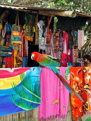 ปาโลมิโน เมืองเล็กๆ ริมทะเลแคริบเบียนในโคลอมเบีย 🇨🇴