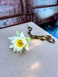 Came for the wildlife. Got wine and a flower necklace instead. No complaints😄