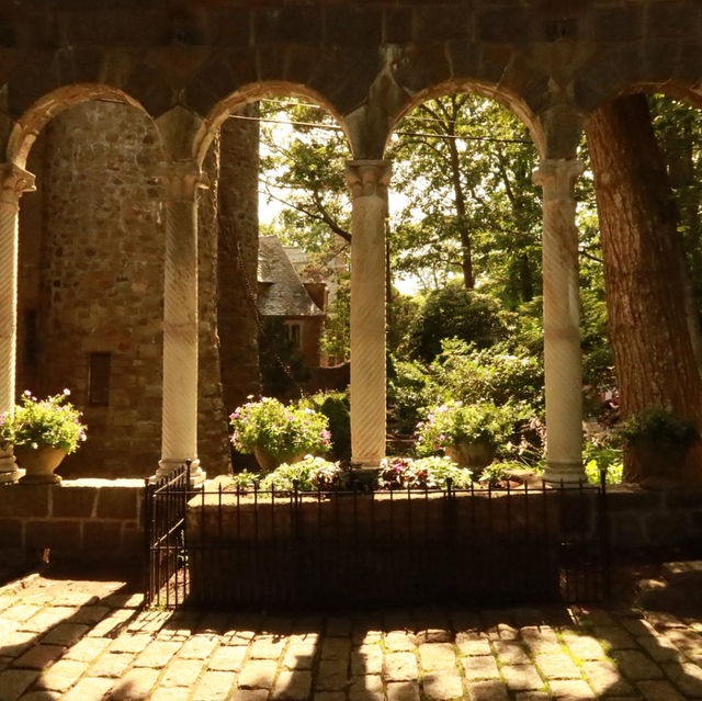 Sunny Dreamscape☀️