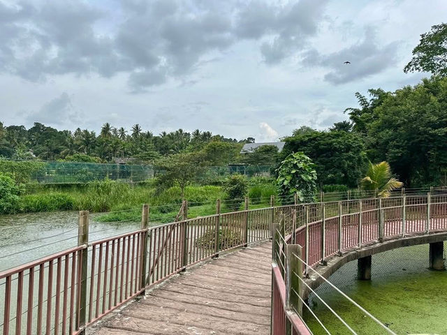 Wild Wonders Awaits🦓