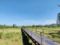 ✨ “Phuket Horizon Journey