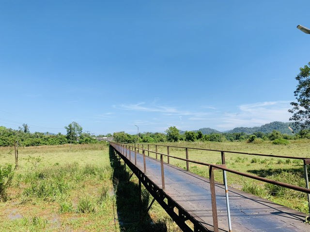 ✨ “Phuket Horizon Journey