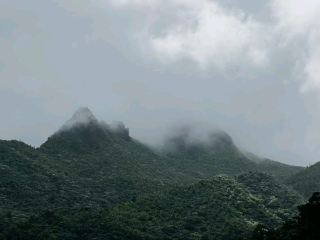 Forest Magic Awaits🌳