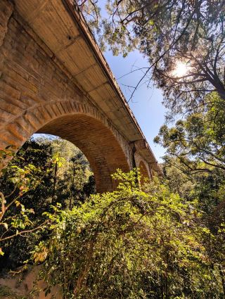 Lapstone Zig Zag Walk 🌿 A Little Piece of Blue Mountains History
