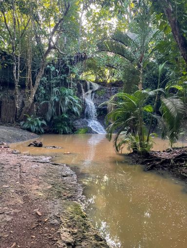 La Tille Waterfall – a waterfall, garden, and spa all in one place 🇱🇨