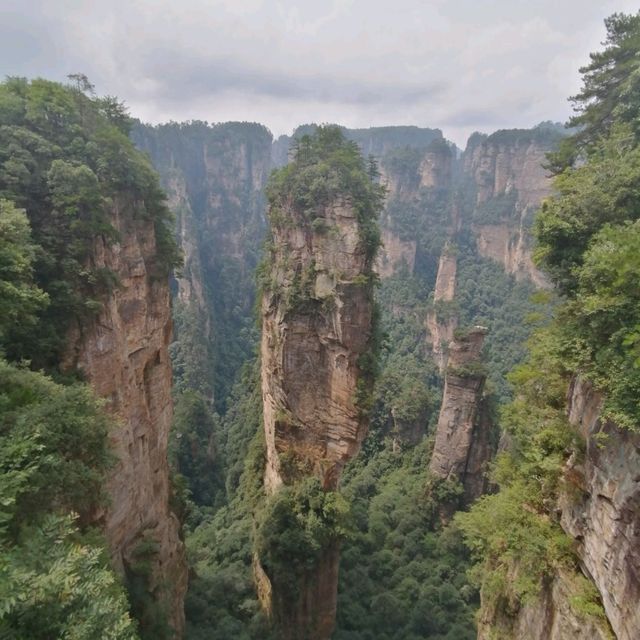 Breathtaking Zhangjiajie 🐒🌿