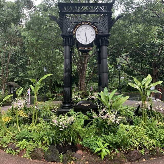 Singapore botanical gardens 🌺