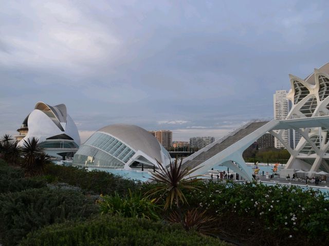 City of Arts and Sciences