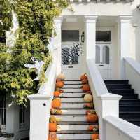 Chelsea's Haunting Elegance: Halloween