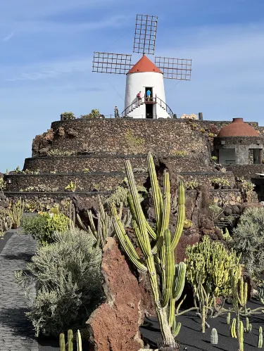 Cactus Garden in Lanzarote, Spain  | Trip.com