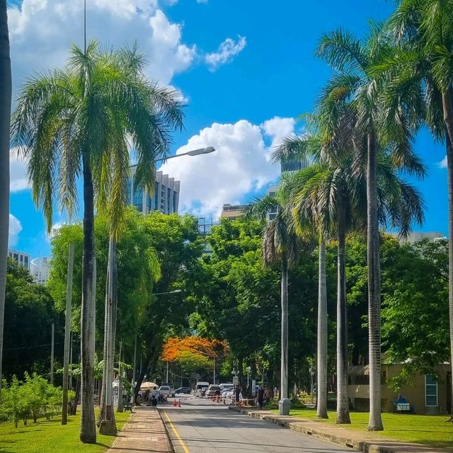 Afternoon stroll in Lumpini Park, Bangkok, Thailand 🇹🇭 