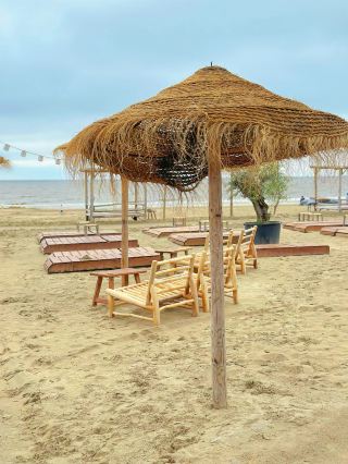 On The Beach of Zandvoort
