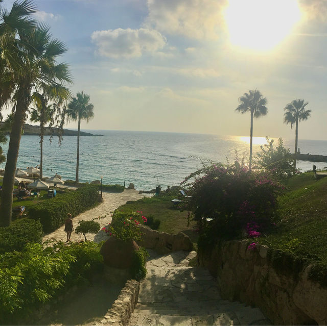 파포스의 추천 리조트: 코랄 비치 호텔 & 리조트 사이프러스 Coral Beach Hotel & Resort