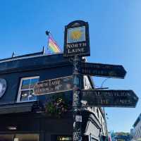Brighton in Full Color: A Vibrant City Experience