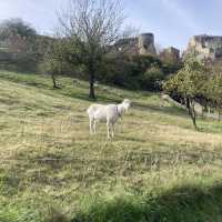 Delightful Devin Castle!