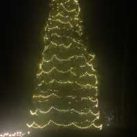  Christmas lights 