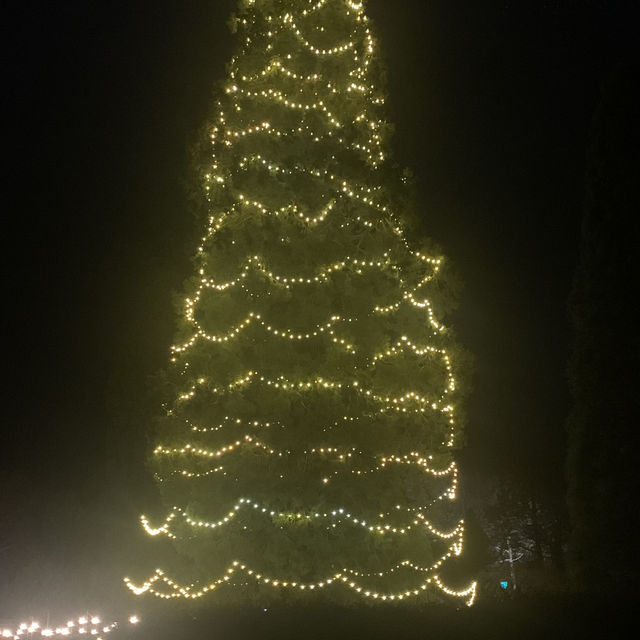  Christmas lights 