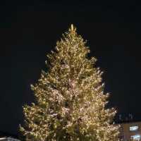 Gothenburg in winter