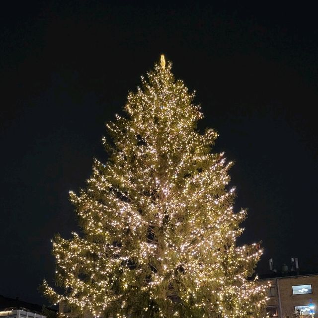 Gothenburg in winter