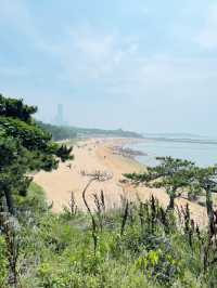Interesting Journey from Beijing to Qingdao: History, Nature, and the Sea