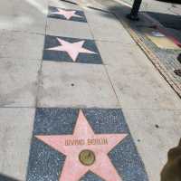 Stroll Among the Stars: The Walk of Fame in LA! ⭐️🎬