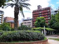 中大江公園