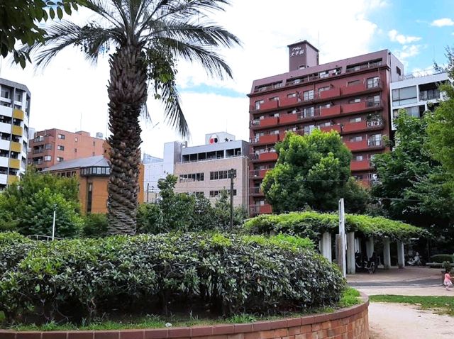 中大江公園