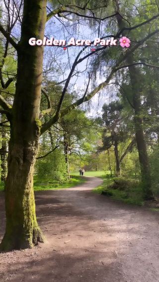 🌸 Spring Walks in Golden Acre Park, Leeds — A Peaceful Escape Just Outside the City 🌿