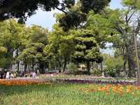 【横浜公園】
