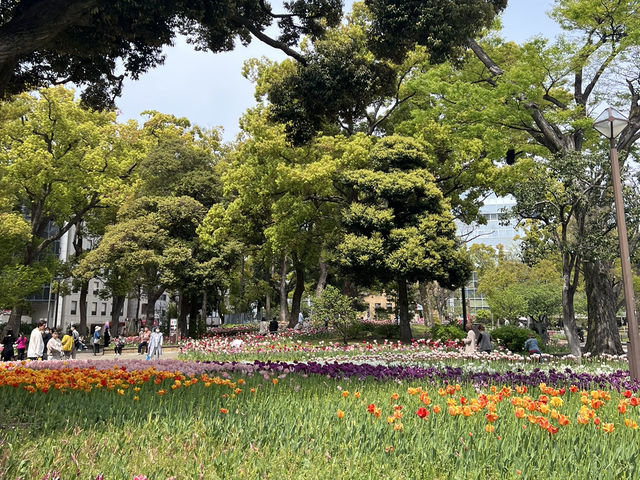 【横浜公園】