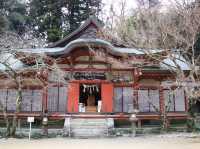 A shrine with the only wooden thirteen-story pagoda in the world