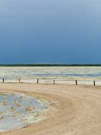 Salt Pan and Safari at Etosha National Park 🦓