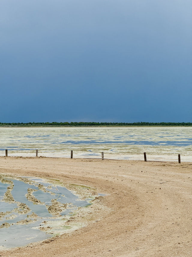 Salt Pan and Safari at Etosha National Park 🦓