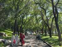 A Timeless Oasis: Where Nature and History Embrace