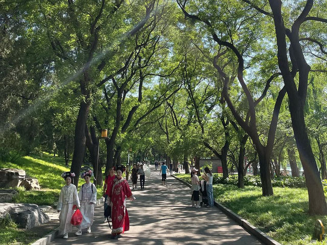 A Timeless Oasis: Where Nature and History Embrace