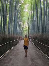 🇯🇵 My Ultimate 3-Week Japan Itinerary: Culture, Nature & City Buzz in One Epic Trip 🌸