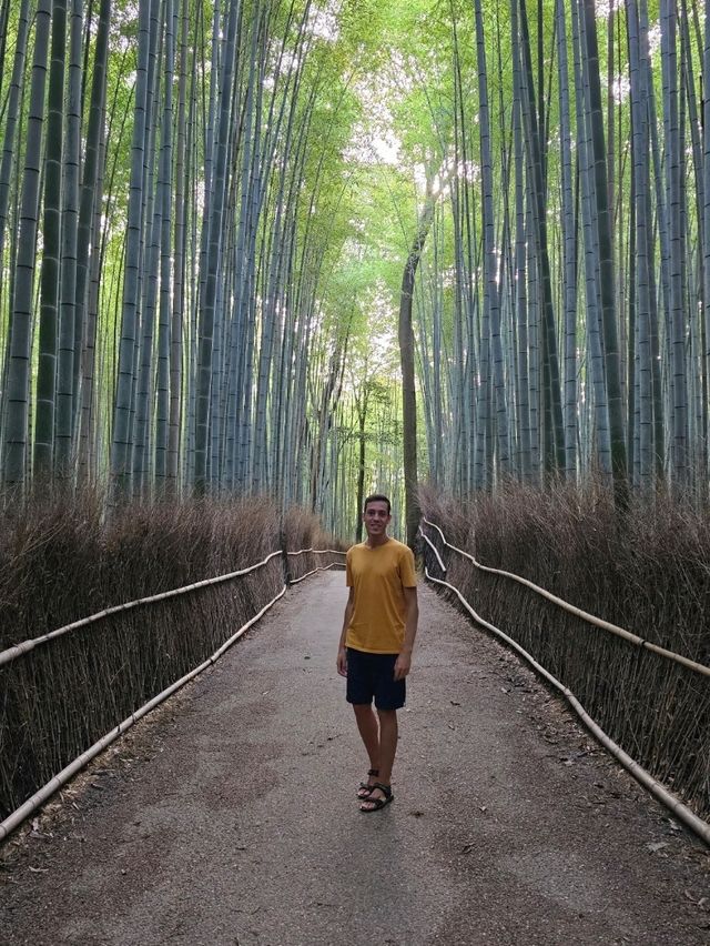🇯🇵 My Ultimate 3-Week Japan Itinerary: Culture, Nature & City Buzz in One Epic Trip 🌸