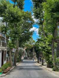 Heybeliada & Büyükada: Tranquil Escapes of the Princes’ Islands